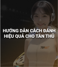 Hình hinh họa 2