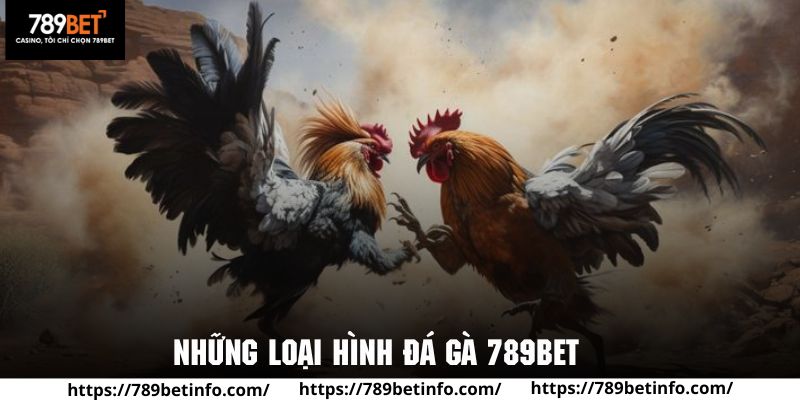 Một số loại hình cá cược đá gà 789BET nổi tiếng tại sân chơi này