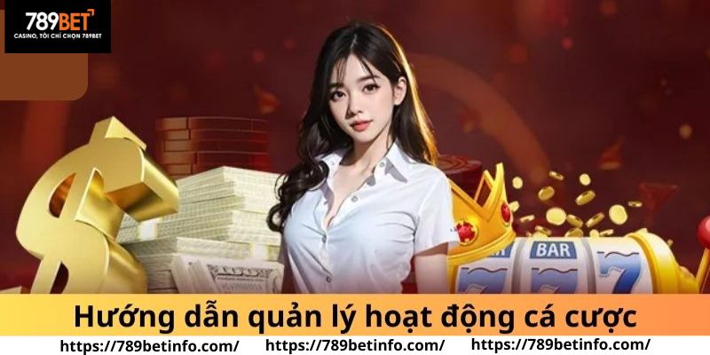 Hướng dẫn quản lý hoạt động cá cược