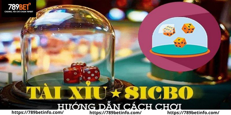 3 cách đánh tài xỉu hiệu quả